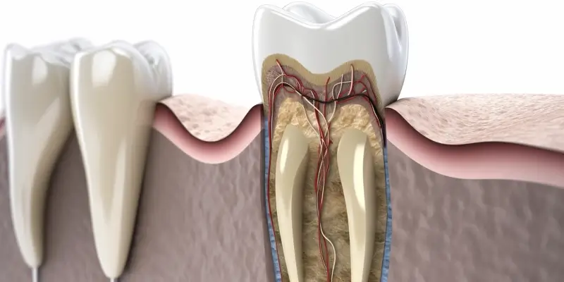 Stomatolog czy dentysta?